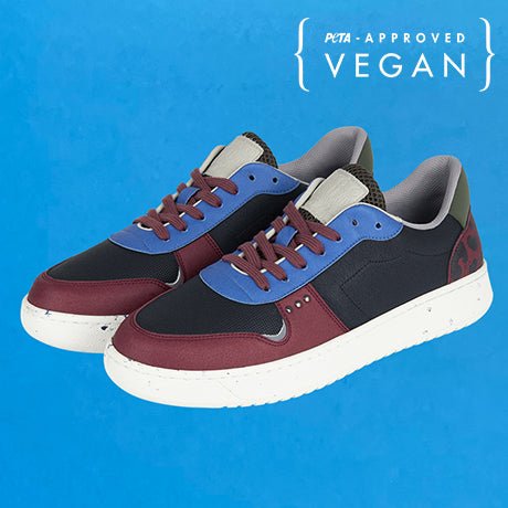 EVAN vegan and recycled sneaker in black, bordeaux and blue